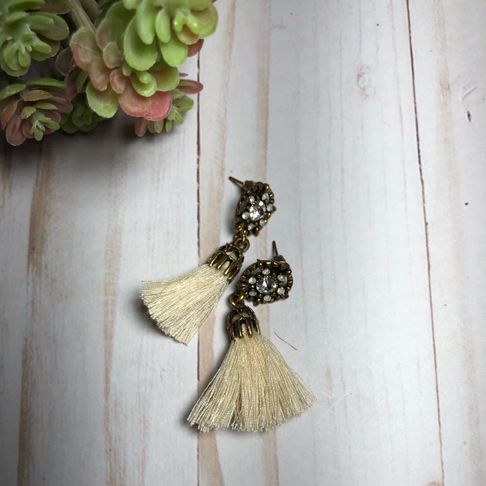 Fringe Earrings